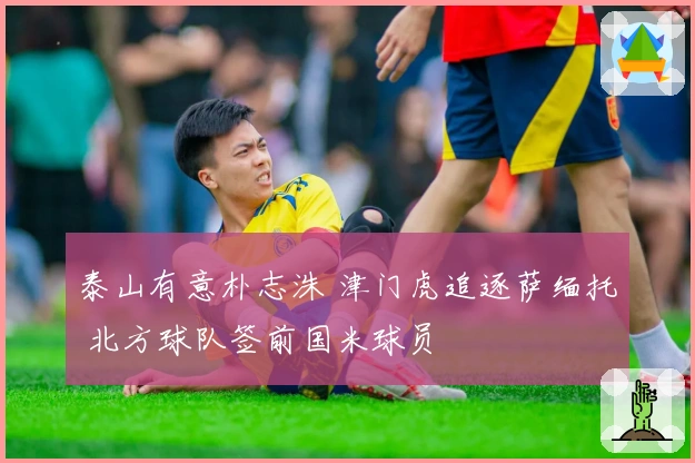 泰山有意朴志洙 津门虎追逐萨缅托 北方球队签前国米球员