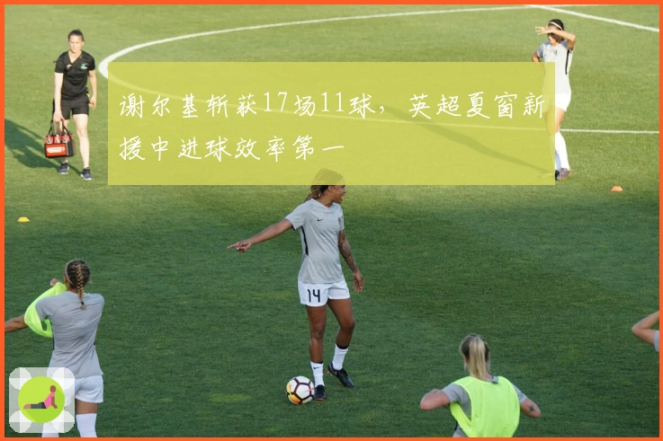 谢尔基斩获17场11球，英超夏窗新援中进球效率第一