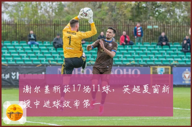 谢尔基斩获17场11球，英超夏窗新援中进球效率第一