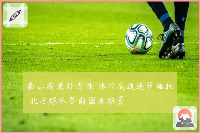 泰山有意朴志洙 津门虎追逐萨缅托 北方球队签前国米球员